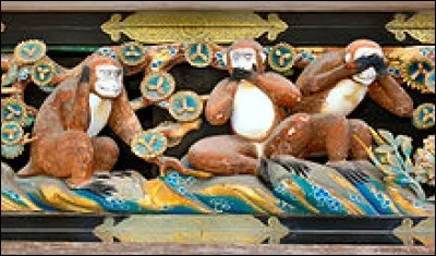 Comment appelle-t-on ces singes ?