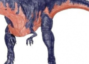 Quiz Identification de dinosaures (partie n1 : 'Les thropodes ')