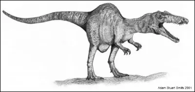 Quel est ce dinosaure spinosauridae ?