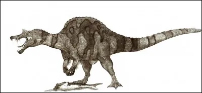 Quel est ce dinosaure spinosauridae ?