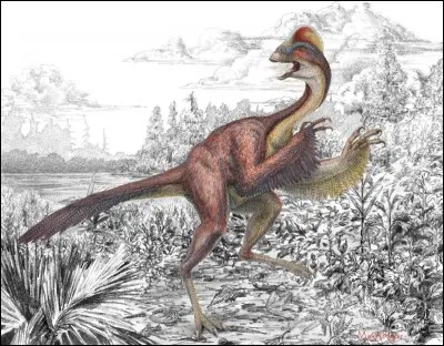 Quel est ce dinosaure oviraptoridae ?
