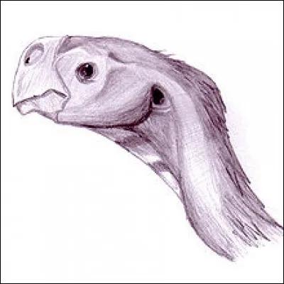 À quel dinosaure oviraptoridae peut-on attribuer cette tête ?