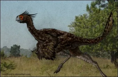 Quel est ce dinosaure oviraptoridae ?