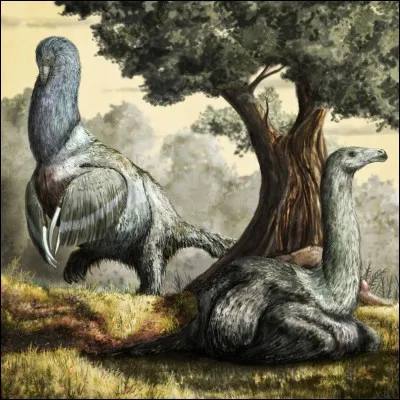 Quel est ce dinosaure therizinosauridae ?