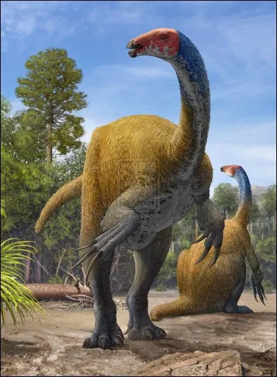 Quel est ce dinosaure therizinosauridae ?