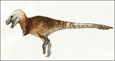 Quel est ce Tyrannosauridae ?