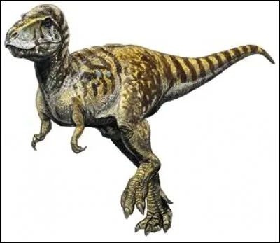 Quel est ce dinosaure tyrannosauridae ?