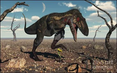 Quel est ce dinosaure tyrannosauridae ?