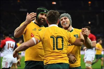 Dans quel sport les Lions rencontrent-ils les Wallabies?