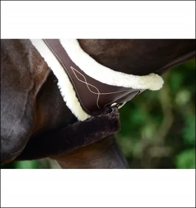 Comment faisons-nous tenir la selle ?