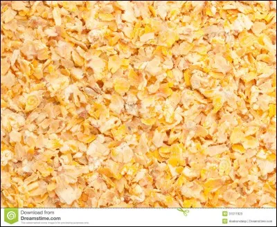 Que mettons-nous sur la nourriture du cheval pour d&eacute;bloquer ses intestins ?