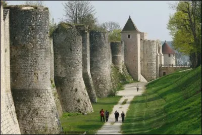 Quelle est cette petite ville, sous-préfecture de Seine-et-Marne, qui a conservé ses remparts médiévaux ?
