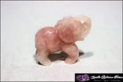 Tumeur &agrave; la base du jarret du cheval :