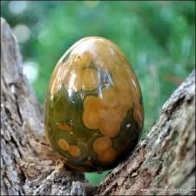 Chose ajout&eacute;e &agrave; une autre :