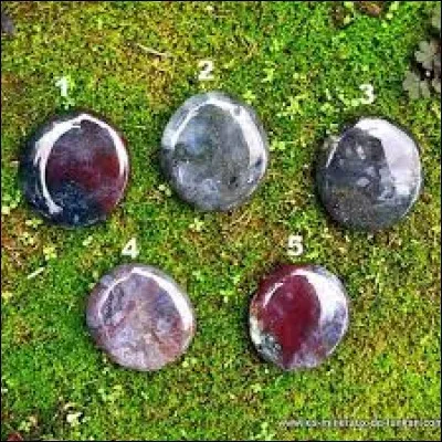 Jeu de cartes aussi appel&eacute; le banquier :