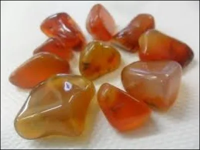 &Eacute;l&egrave;ve de premi&egrave;re ann&eacute;e d'une grande &eacute;cole :