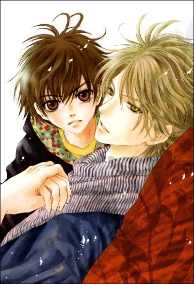 Comment se nomme ce shojo yaoi ?