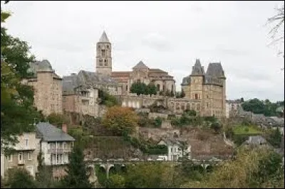 Commune de l'arrondissement de Tulle, dans le pays d'Uzerche, Salon-la-Tour se situe dans le département ...