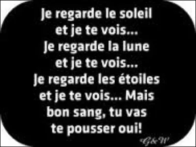 Quel adjectif se rapporte à la Lune ?