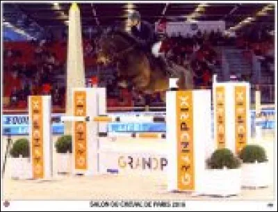 Les principales fautes à l'obstacle sont ...