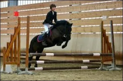 Quels sont les principaux obstacles de CSO ?