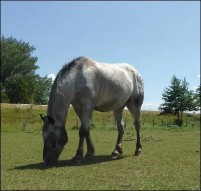 Les plaies se nettoient ...