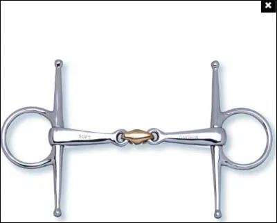 Quel mors n'existe pas ?