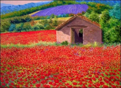 Quelle plante n'est pas toxique pour un cheval ?