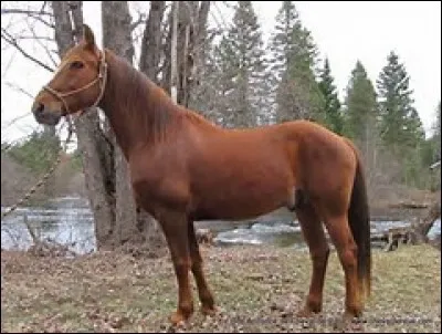 Qu'est-ce qu'une atteinte ?