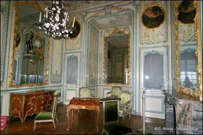 Quel est le nom du style caractérisant les appartements des dauphins ?