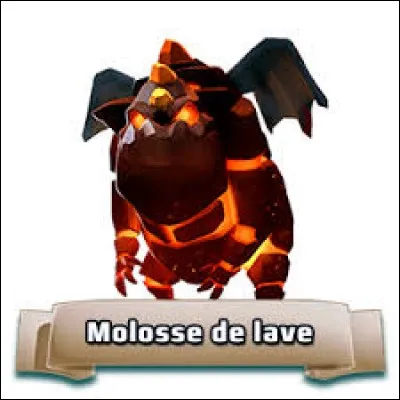 A partir de quelle arène débloque-t-on le Molosse ?