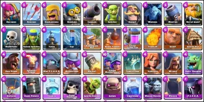 Combien y a-t-il de cartes dans le jeu ?