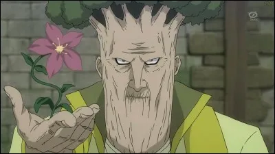 Qui est le plus fort des rois célèstes d'Ishgar ?