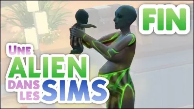 Combien a-t-il fait de lets play sur les sims ?