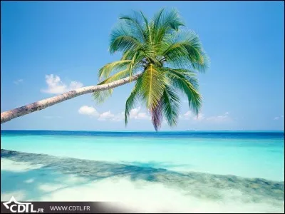 Quel est ton endroit pr&eacute;f&eacute;r&eacute; ?