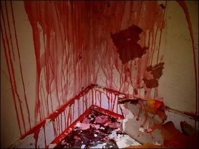 Dans quelle ville se situe la célèbre "maison qui saigne" ?