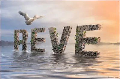 Quel est ton rêve ?