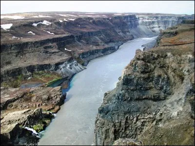 Qu'est-ce qu'un "Nordmann" ?