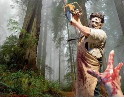 Quel est le titre de ce film ?