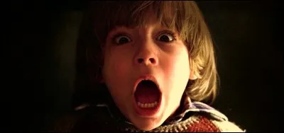 Quel est le titre de ce film ?