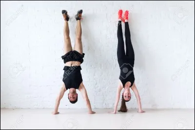 Comment s'appelle cette figure ?