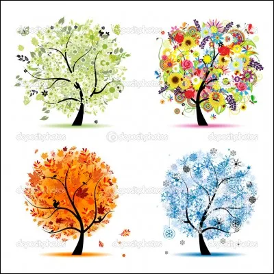 Quelle est ta saison préférée ?