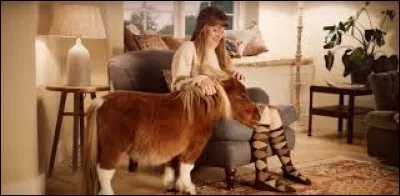 Quelle entreprise de commerce sur Internet a choisi ''Little Man'' de Sonny and Cher pour accompagner le spot de pub où on peut voir un très petit poney ?