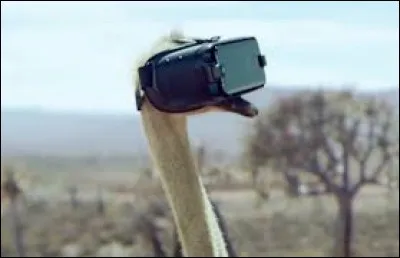 La pub où on voit une autruche mettre un casque de réalité virtuelle est illustrée par ''Rocket Man'' d'Elton John. Pour quelle marque a-t-elle été créée ?