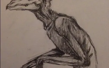 Quiz Creatures