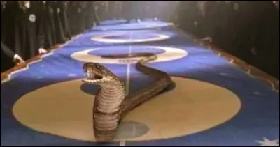 Lors du duel dans Harry Potter et la Chambre des secrets, quelle formule Drago utilise-t-il pour faire apparaître ce serpent ?