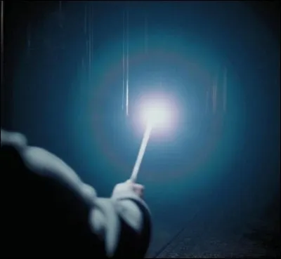 Quel est ce sortilège qui permet aux sorciers de ne pas s'encombrer d'une lampe-torche ?