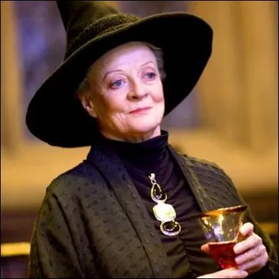 De quelle couleur était la robe du professeur McGonnagall lorsqu'elle a envoyé Harry et ses amis en première année à Poudlard ?