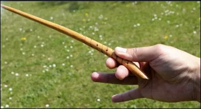 Quel sort n'apparaît pas dans la saga ?