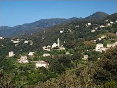Je vous emmène sur l'Ile de Beauté, à Pino. Village de l'arrondissement de Bastia, il se situe dans le département ...